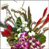 Just 4 U - Click here to View more details about this Product